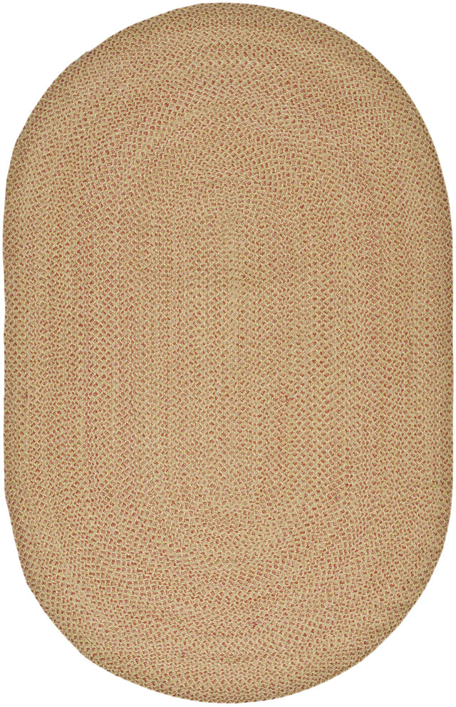Safavieh Braided 5'-0" x 8'-0" Rug in Multi