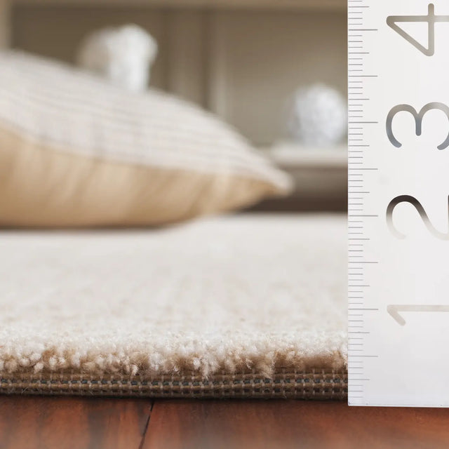 Safavieh Mabel 4'-0" x 6'-0" Rug in Beige / Ivory