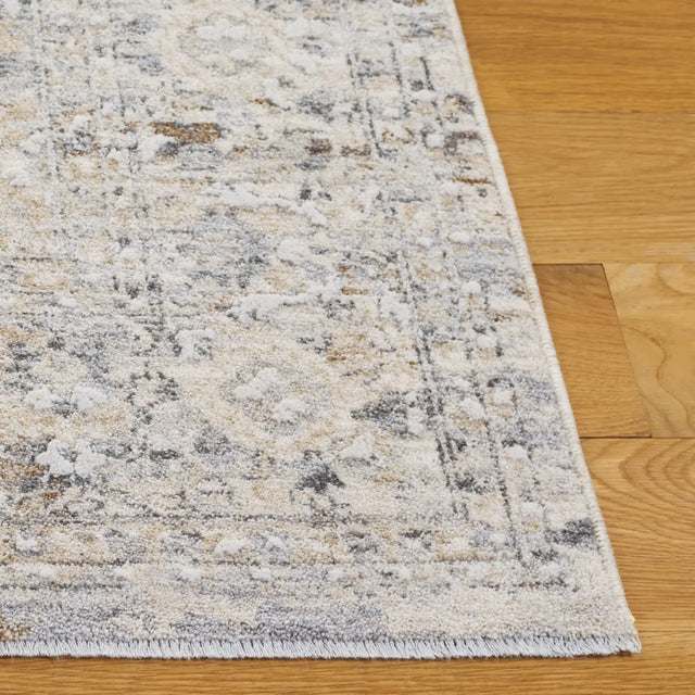 Safavieh Finley 4'-0" x 6'-0" Rug in Grey / Beige