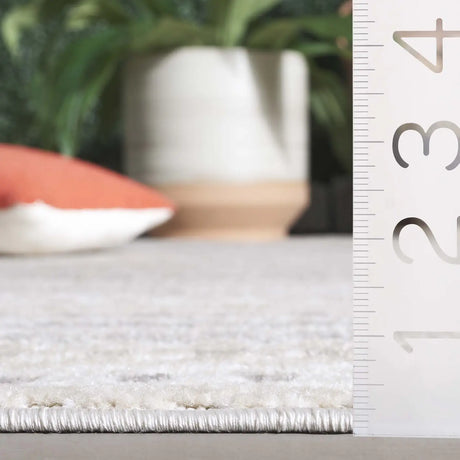 Safavieh Stella 4'-0" x 6'-0" Rug in Beige / Grey