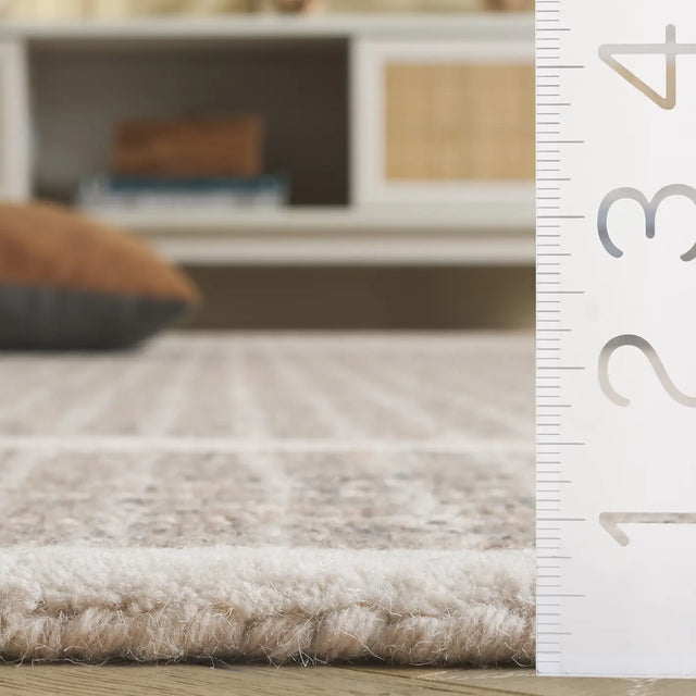 Safavieh Pine 4'-0" x 6'-0" Rug in Grey / Ivory