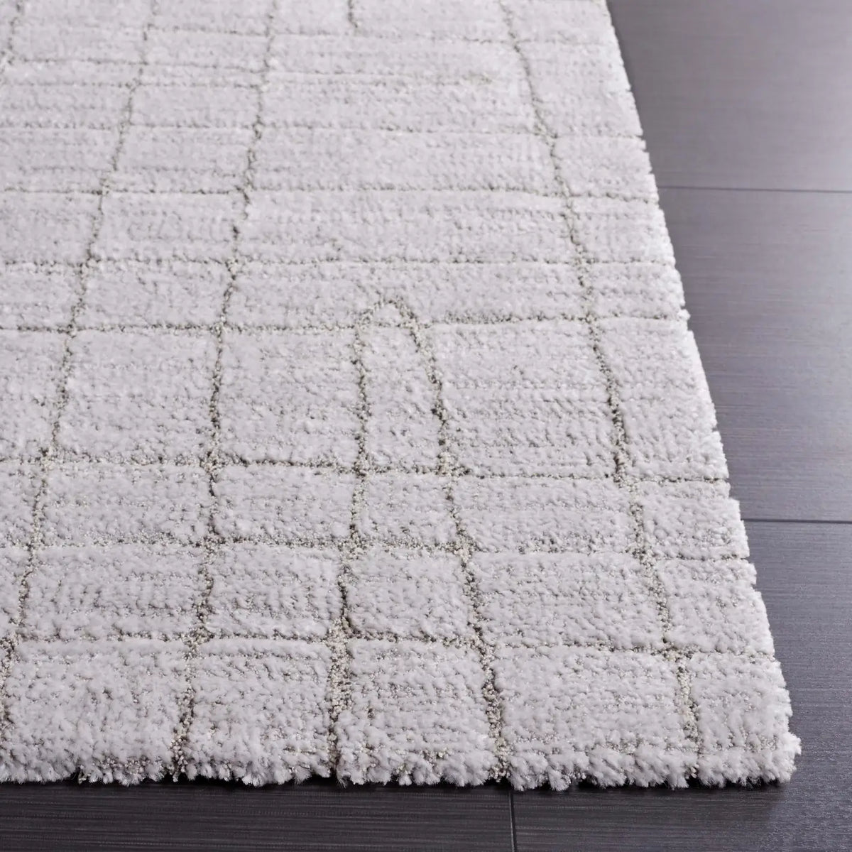 Safavieh Neptune 4'-0" x 6'-0" Rug in Light Grey / Grey