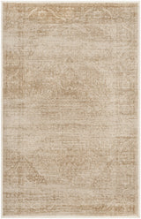Safavieh Vintage 2'-0" x 3'-0" Rug in Stone