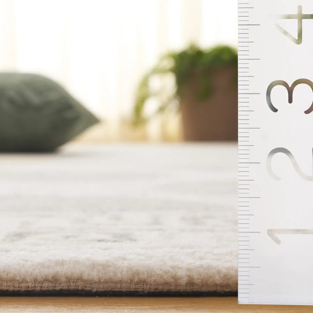 Safavieh Pine 4'-0" x 6'-0" Rug in Sage / Ivory