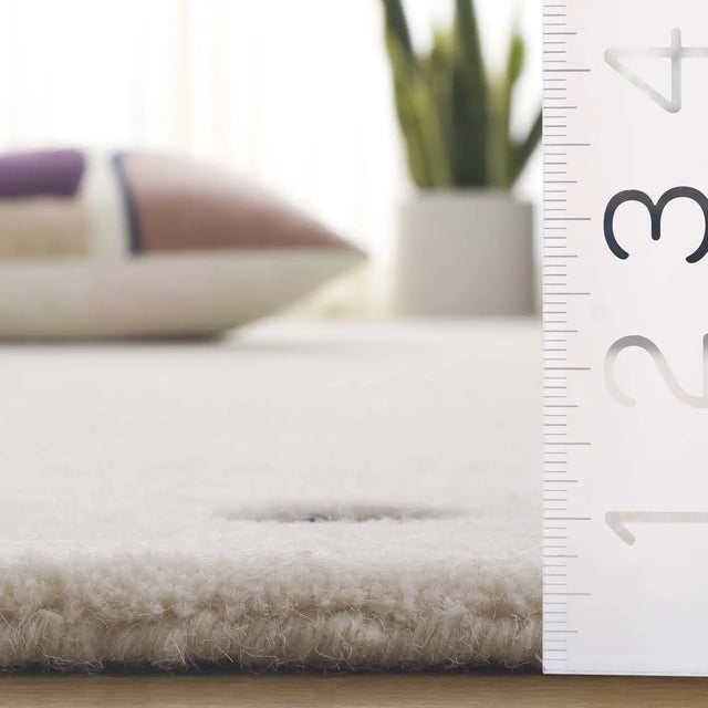 Safavieh Metro 4'-0" x 6'-0" Rug in Ivory / Black