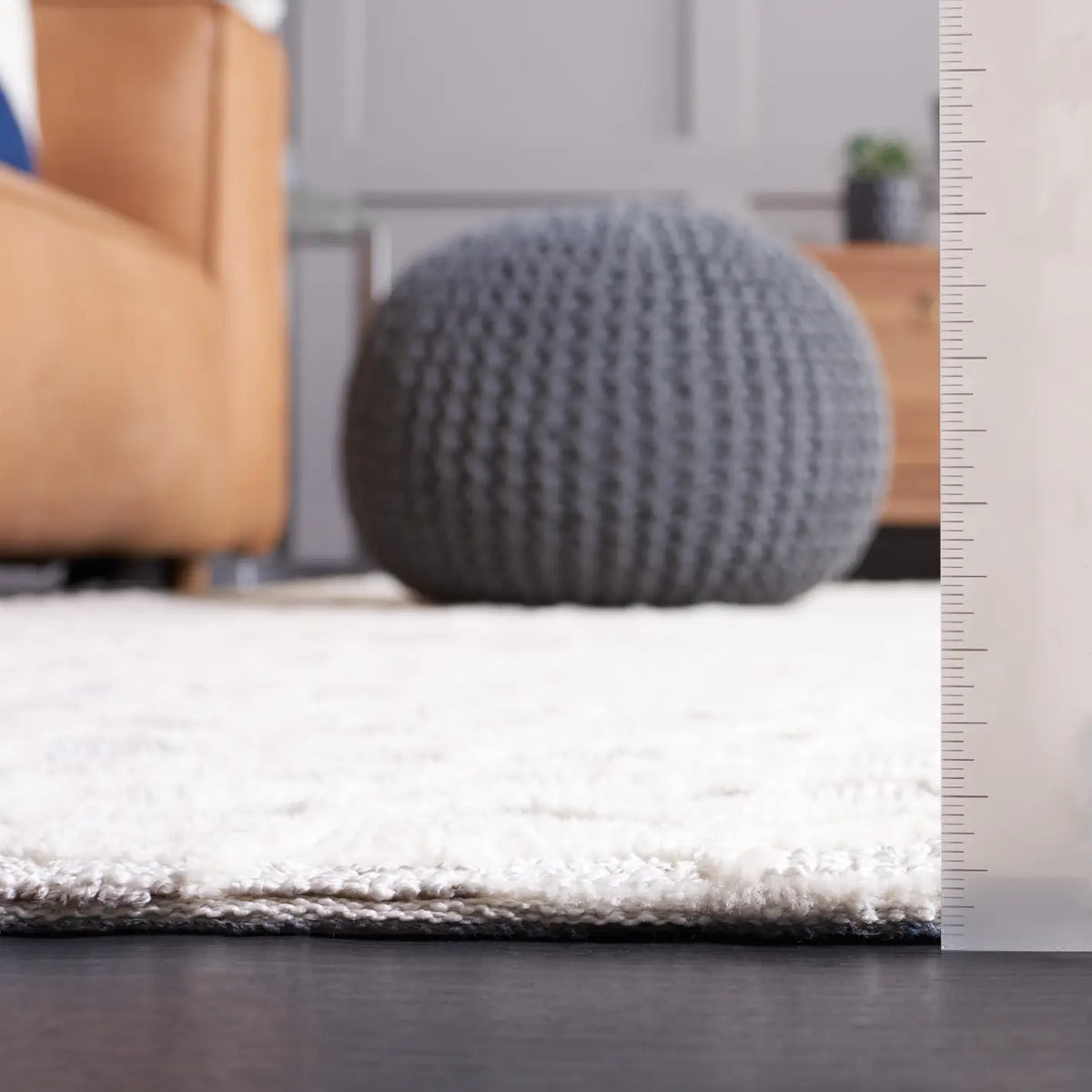 Safavieh Audrey 4'-0" x 6'-0" Rug in Light Grey / Beige