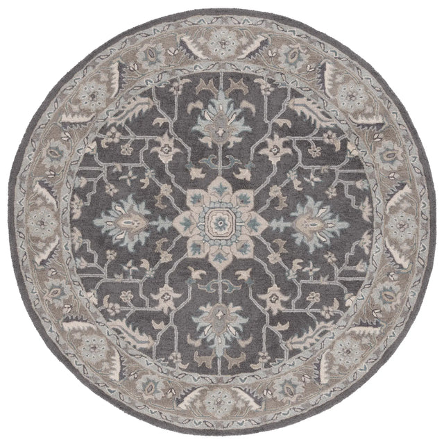 Safavieh Blossom 6'-0" x 6'-0" Rug in Dark Grey / Light Brown
