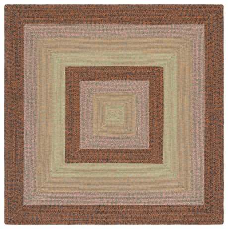 Safavieh Braided 5'-0" x 5'-0" Rug in Dark Brown / Light Green