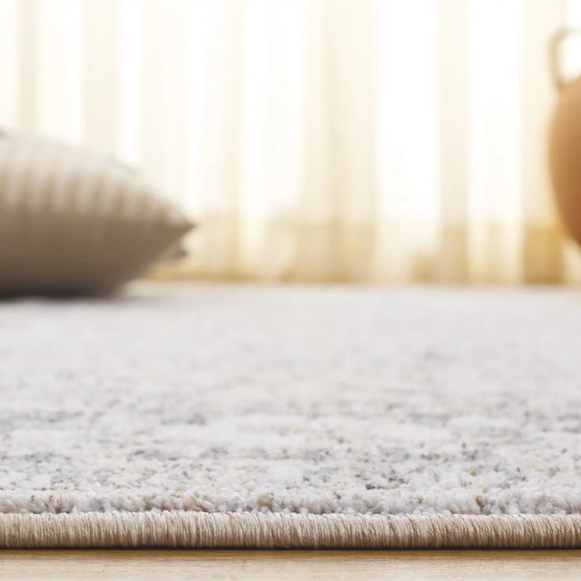 Safavieh Finley 4'-0" x 6'-0" Rug in Grey / Light Grey