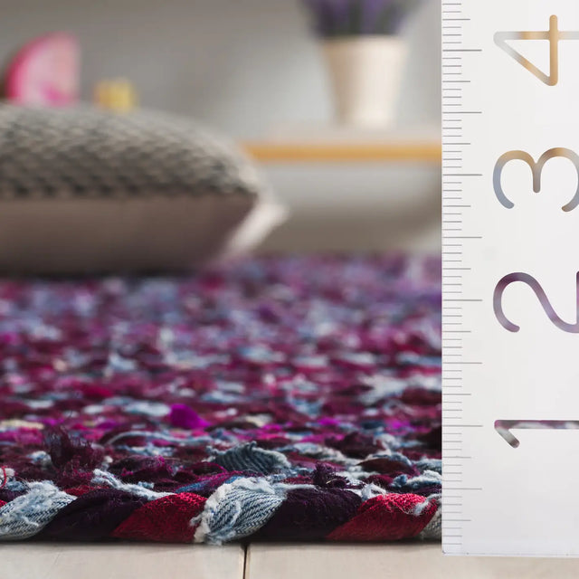 Safavieh Braided 4'-0" x 6'-0" Rug in Purple / Blue