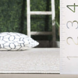 Safavieh Stella 4'-0" x 6'-0" Rug in Ivory