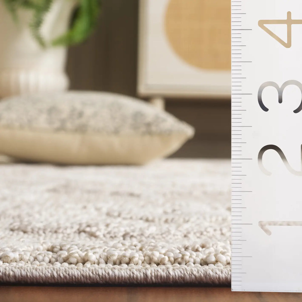 Safavieh Paros 4'-0" x 6'-0" Rug in Ivory