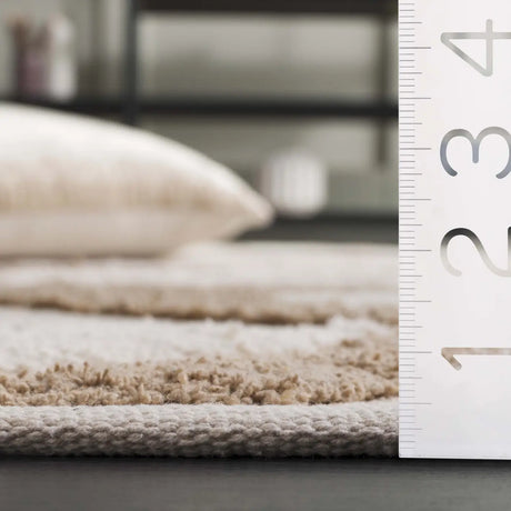 Safavieh Vermont 4'-0" x 6'-0" Rug in Ivory / Beige