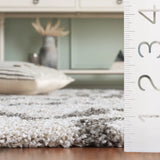 Safavieh Hudson Shag 5'-3" x 7'-6" Rug in Ivory / Grey