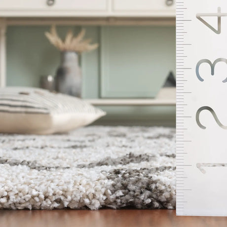 Safavieh Hudson Shag 5'-3" x 7'-6" Rug in Ivory / Grey