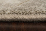 Dynamic Rugs Eclipse 63421 Beige / Cream Rugs - Pile