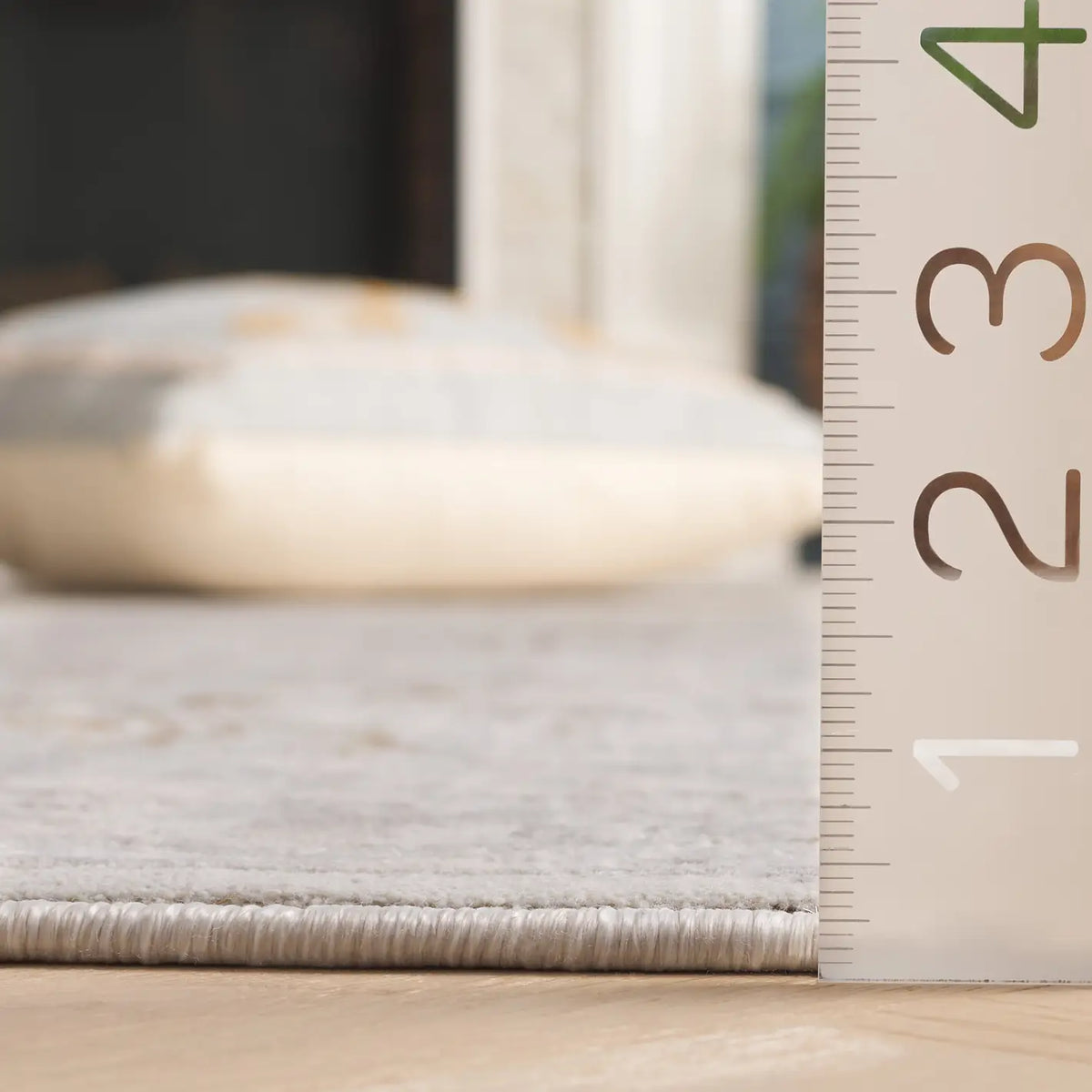 Safavieh Princeton 4'-0" x 6'-0" Rug in Light Beige / Grey