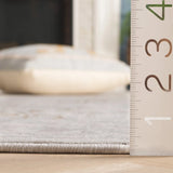 Safavieh Princeton 4'-0" x 6'-0" Rug in Light Beige / Grey