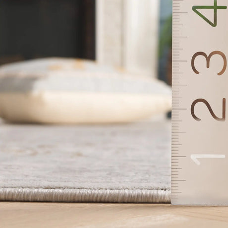 Safavieh Princeton 4'-0" x 6'-0" Rug in Light Beige / Grey