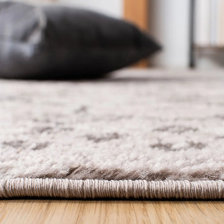 Safavieh Amsterdam 4'-0" x 6'-0" Rug in Light Grey / Brown