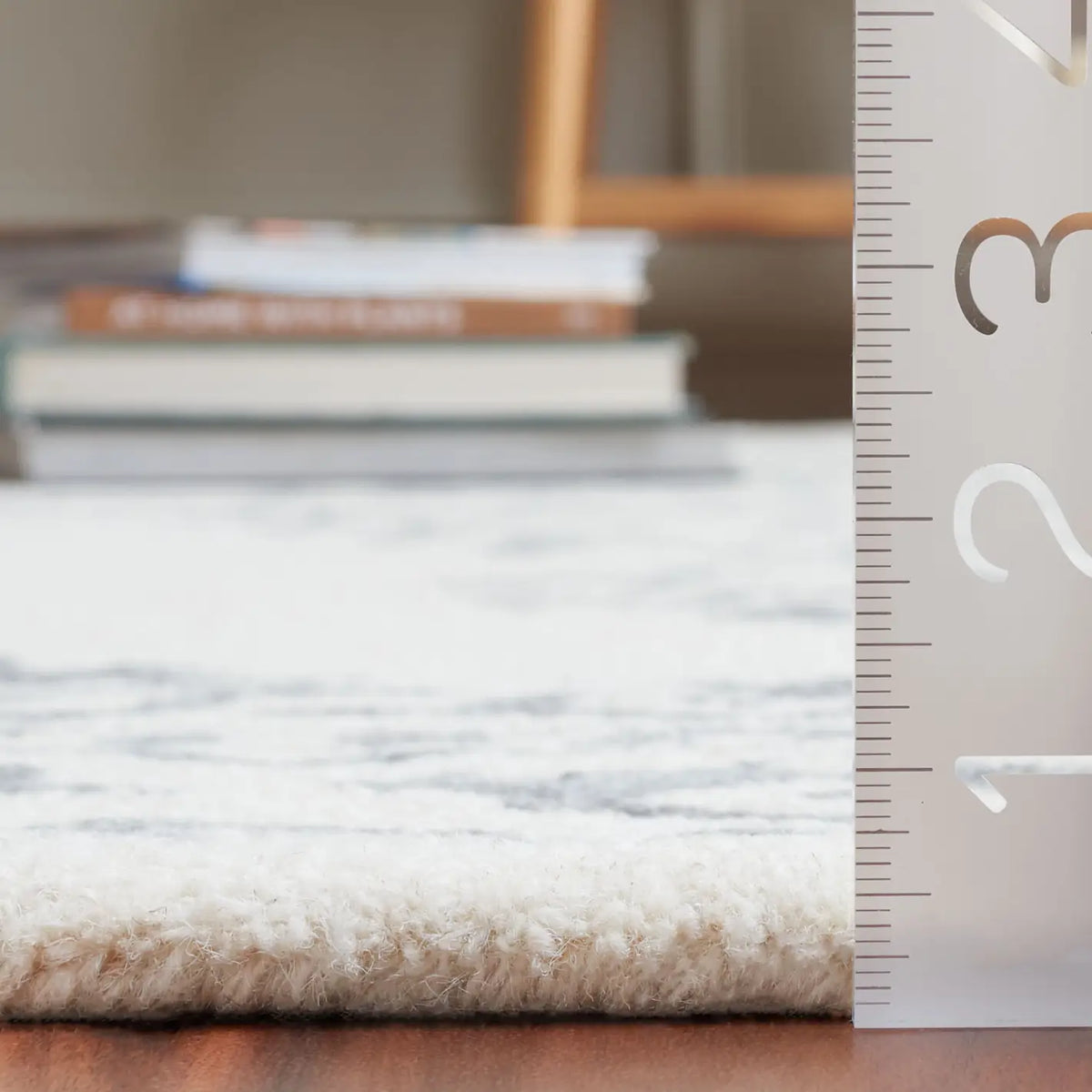 Safavieh Ebony 4'-0" x 6'-0" Rug in Ivory / Grey