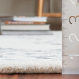 Safavieh Ebony 4'-0" x 6'-0" Rug in Ivory / Grey