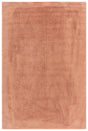 Safavieh Easy Care 4'-0" x 6'-0" Rug in Rust