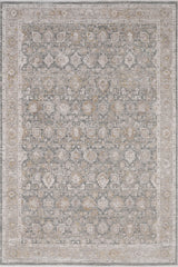 Dynamic Rugs Lara 14621 Power Loomed Traditional Beige/Grey/Cream Rug - Rectangular