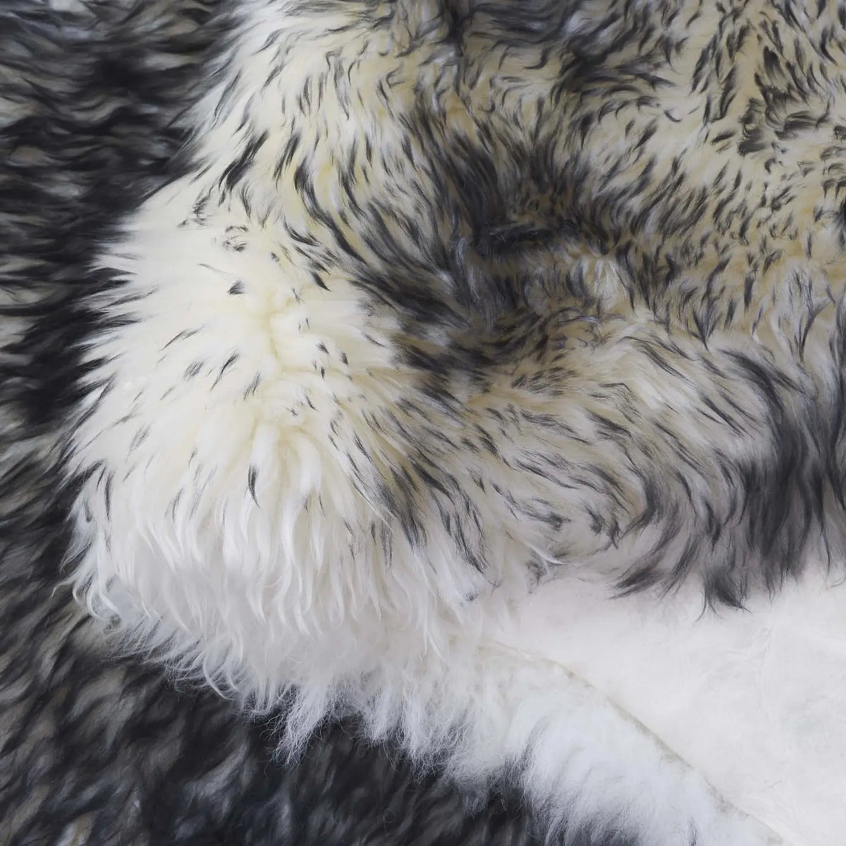 Safavieh Sheep Skin 5'-5" x 7'-7" Rug in Ivory / Dark Charcoal