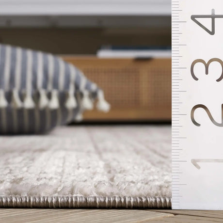 Safavieh Mila 4'-0" x 6'-0" Rug in Ivory / Beige Grey