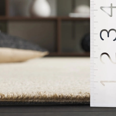 Safavieh Natural Fiber 4'-0" x 6'-0" Rug in Ivory