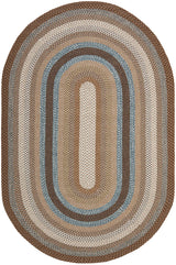 Safavieh Braided 6'-0" x 9'-0" Rug in Brown / Multi