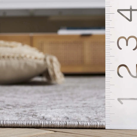 Safavieh Mila 4'-0" x 6'-0" Rug in Grey / Ivory