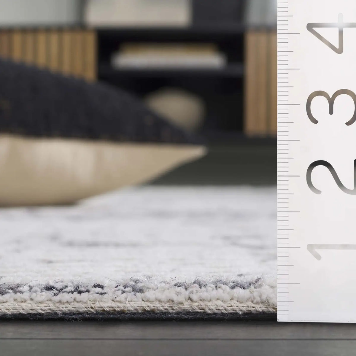 Safavieh Ebony 4'-0" x 6'-0" Rug in Ivory / Grey