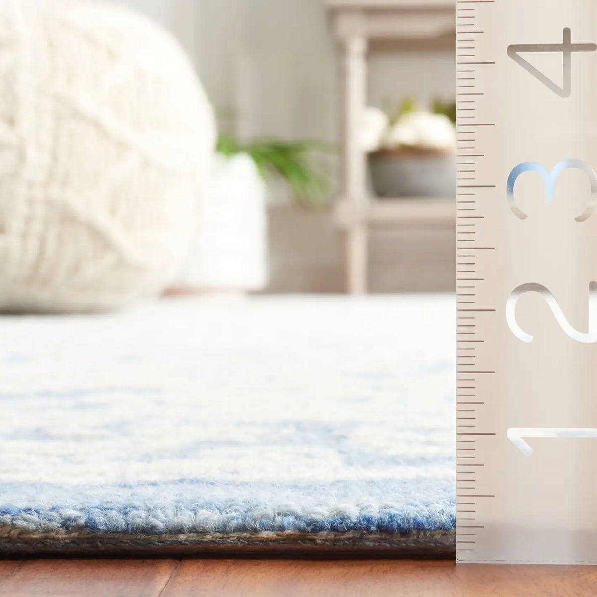 Safavieh Ebony 4'-0" x 6'-0" Rug in Ivory / Blue
