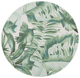 Safavieh Barbados 500 6'-6" x 6'-6" Rug in Green / Teal