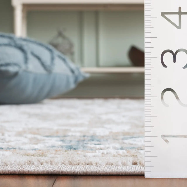 Safavieh Finley 4'-0" x 6'-0" Rug in Blue / Beige