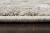 Dynamic Rugs Quartz 27039 Ivory / Silver Rugs - Pile
