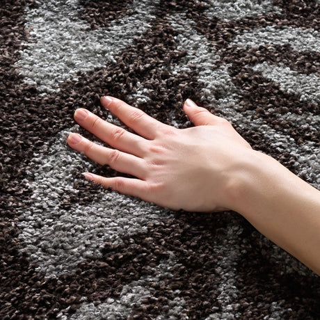 Safavieh Florida Shag 4'-0" x 6'-0" Rug in Dark Brown / Grey