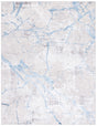 Safavieh Amelia 10'-0" x 14'-0" Rug in Grey / Blue