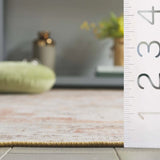 Safavieh Arizona 4'-0" x 6'-0" Rug in Beige / Rust