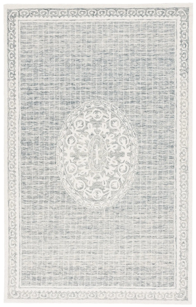 Safavieh Ebony 4'-0" x 6'-0" Rug in Grey / Ivory