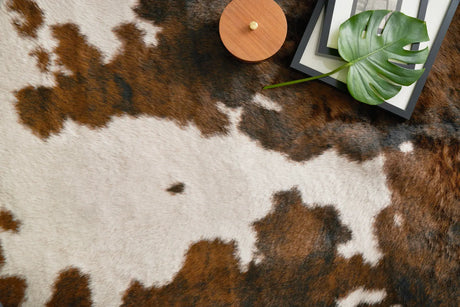 Loloi Grand Canyon Gc-05 Beige/Brown Rug - styled aerial 1