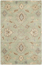 Safavieh Wyndham 2'-6" x 4'-0" Rug in Light Green