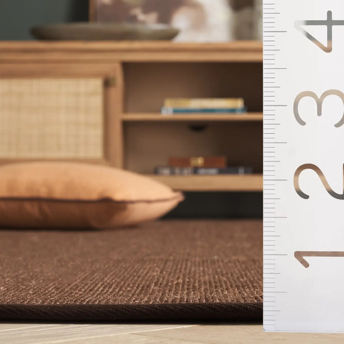 Safavieh Natural Fiber 5'-0" x 8'-0" Rug in Brown / Brown
