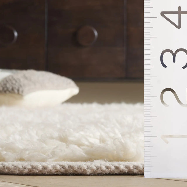 Safavieh Casablanca 4'-0" x 6'-0" Rug in Ivory