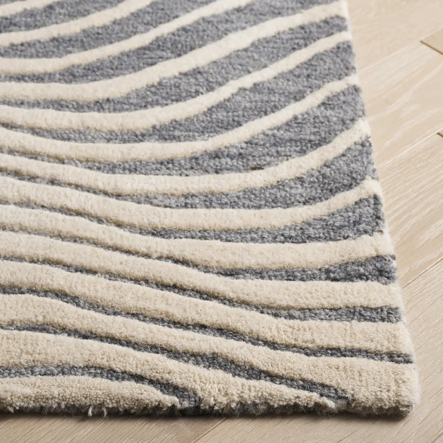 Safavieh Ebony 4'-0" x 6'-0" Rug in Grey / Ivory
