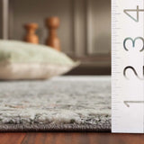 Safavieh Serena 200 5'-3" x 7'-6" Rug in Dark Grey / Ivory