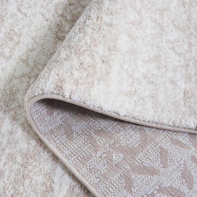 Safavieh Northport 800 4'-0" x 6'-0" Rug in Beige / Ivory