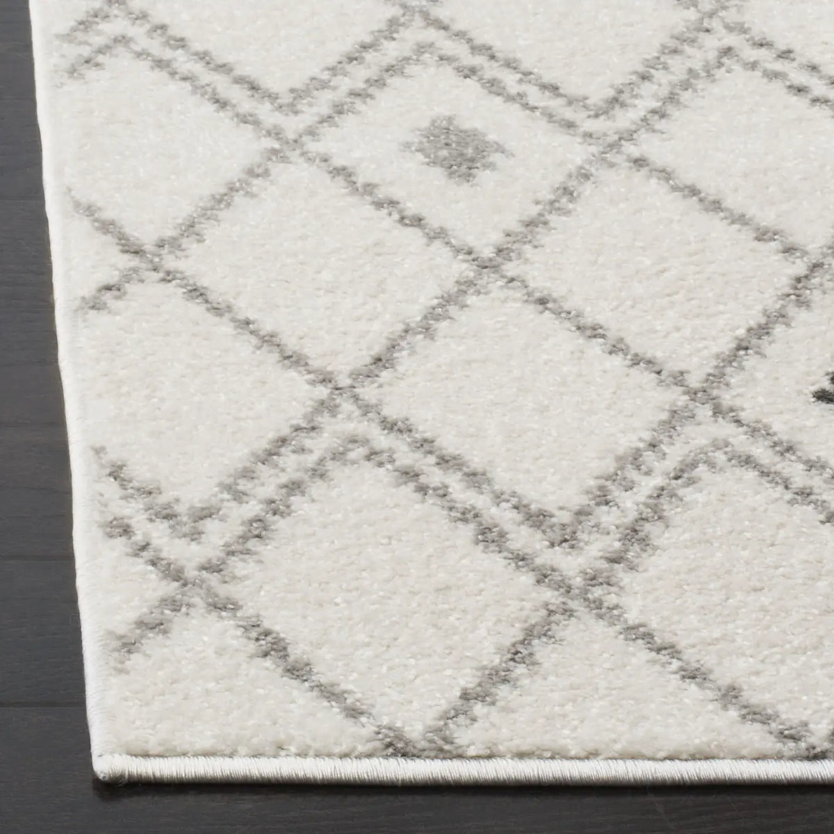 Safavieh Adirondack 4'-0" x 6'-0" Rug in Ivory / Grey